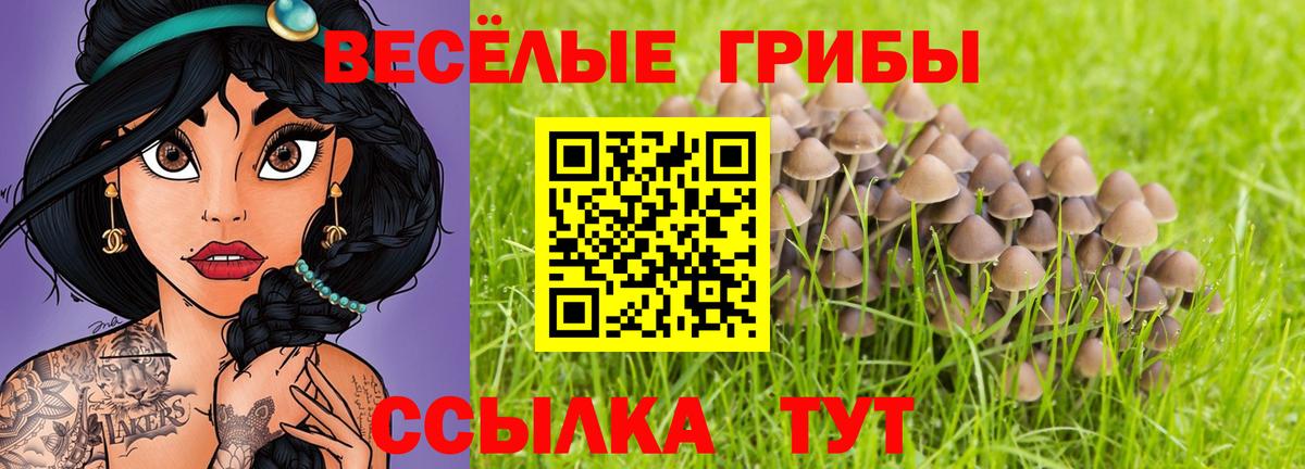 Псилоцибиновые грибы прущие грибы  Галлюциногенные грибы мицелий  Вход с VPN  Верхняя Пышма 